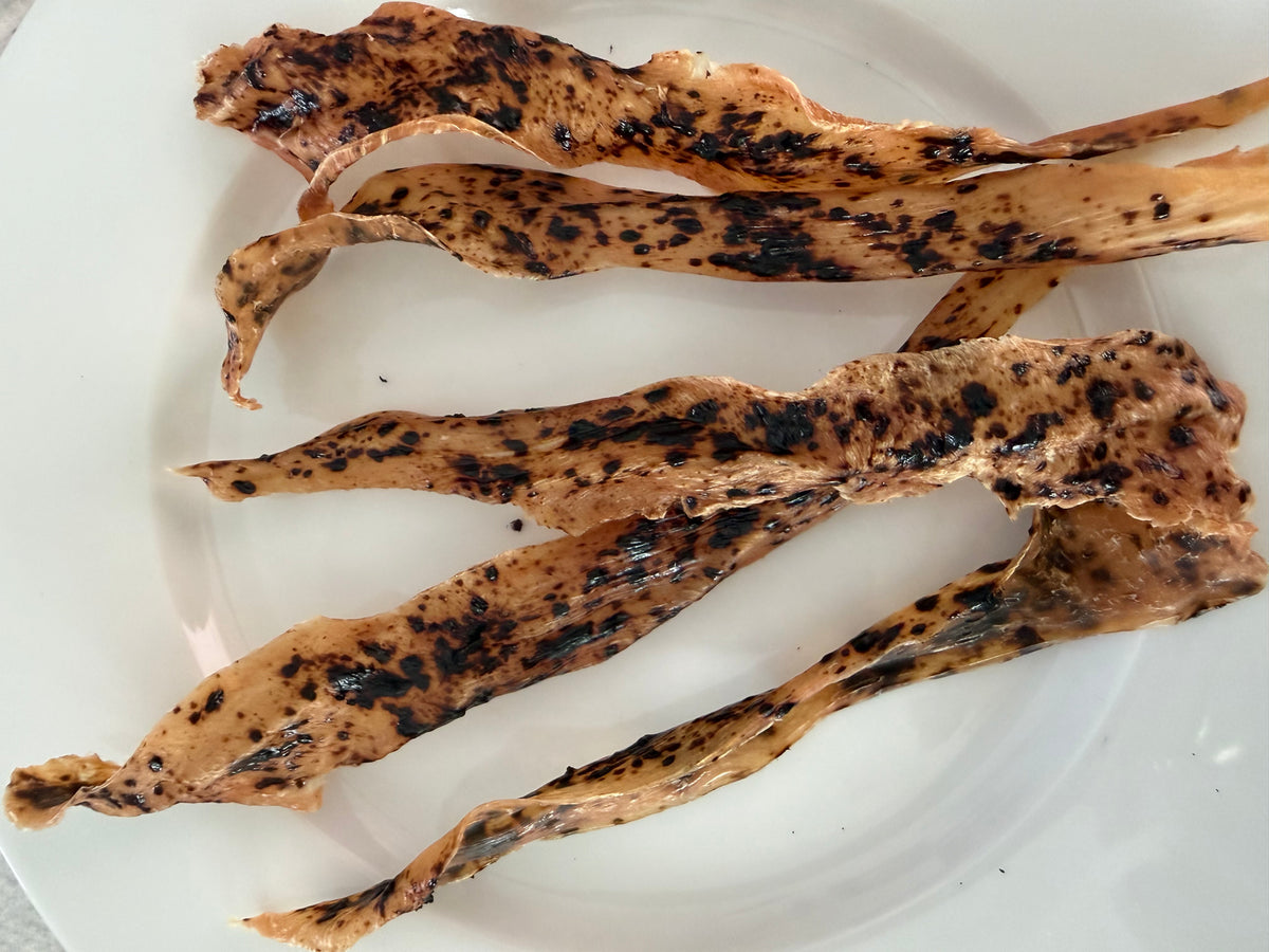 Chicken Breast Jerky 4oz w Turkey Tail Mushroom Extract Powder