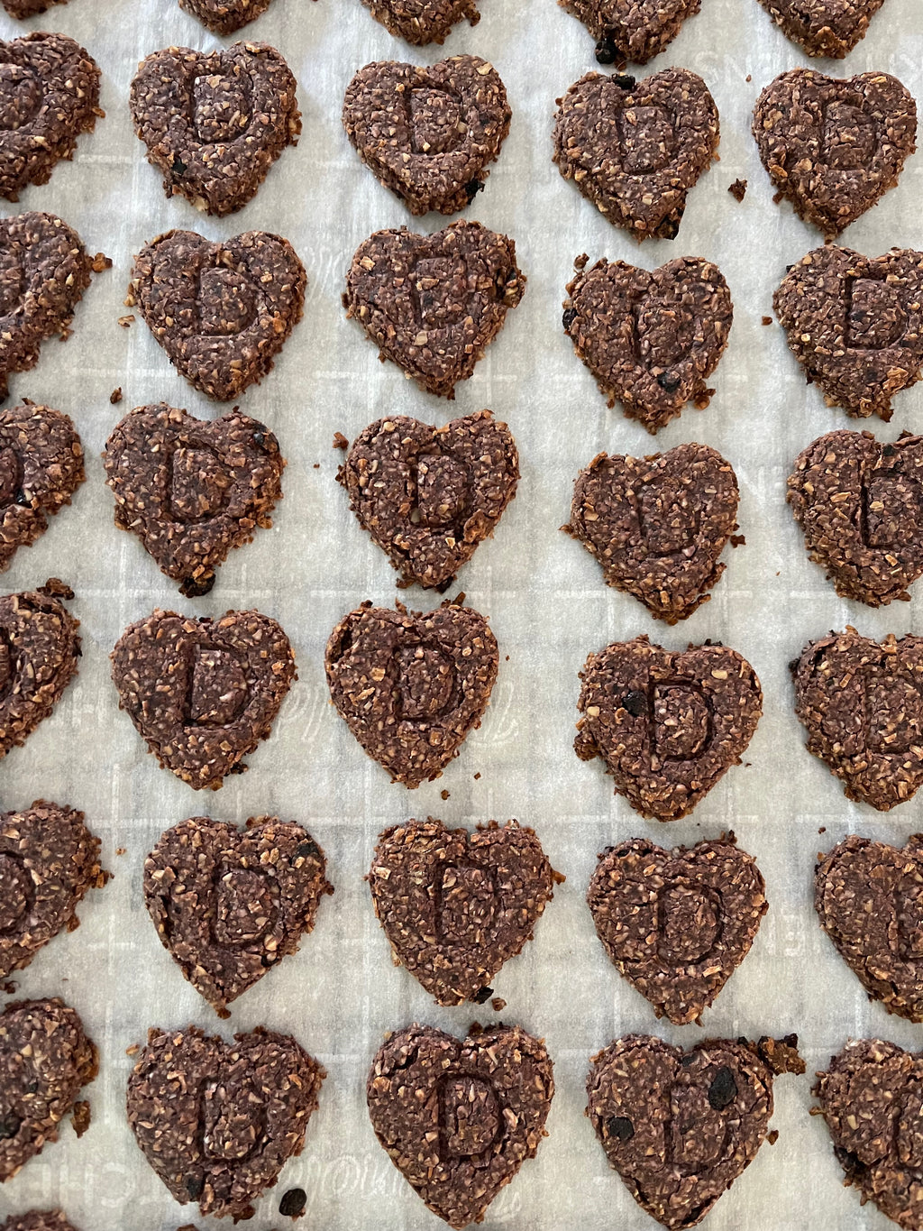 Blueberry Oat & Coconut Biscuits 6oz